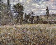 Claude Monet A Mcadow France oil painting reproduction